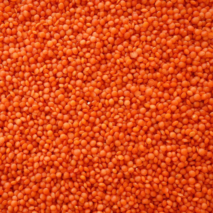 Hasata Mardin Red Lentil 1 KG