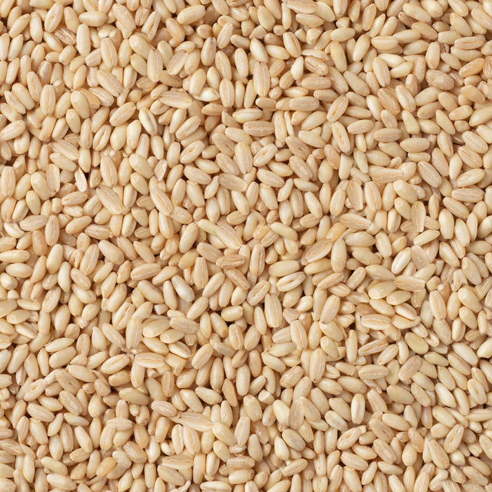 Hasata Manisa Wheat Peeled 1 KG