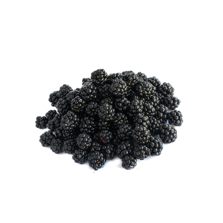 Feast Frozen Blackberry 350gr