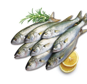 Bluefish Gutted – Lüfer İçi Temizlenmiş