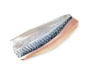 Mackerel Fillet – Uskumru Fileto