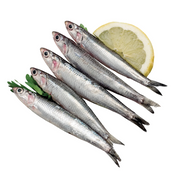 Anchovy Gutted - Hamsi İçi Temizlenmiş