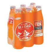 Uludag Legendary Orange Gazoz 6/250ml