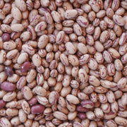 Hasata Niğde Cranberry Beans 1 KG