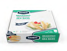 Mediterranean Sea Bass Branzino, Fillet, 8-10 - Akdeniz Levrek (Branzino), Fileto, 8-10 Adet